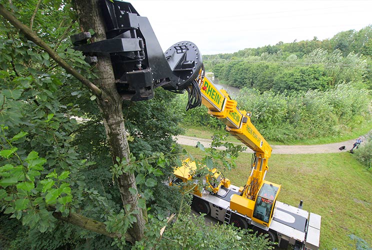 Fällkran bei Baumfällarbeiten