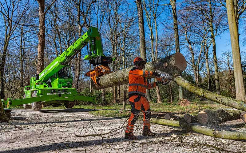 Ansprechpartner kranunterstützte Baumfällung Vermietung von Arbeitsbühnen