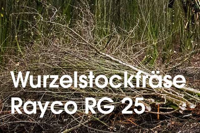 Wurzelstockfraese Rayco RG 25